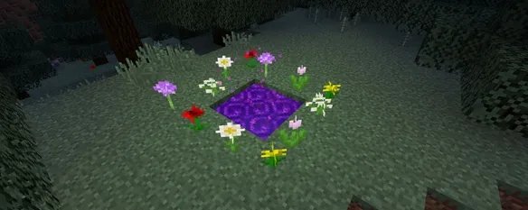 暮色森林怎么进入