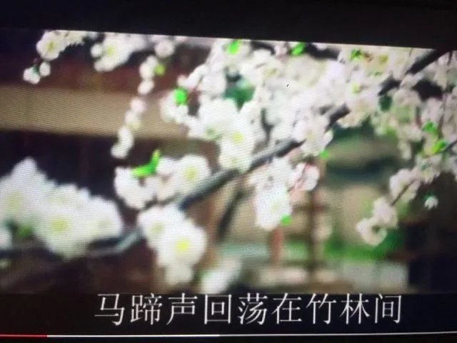 风清扬歌词含义