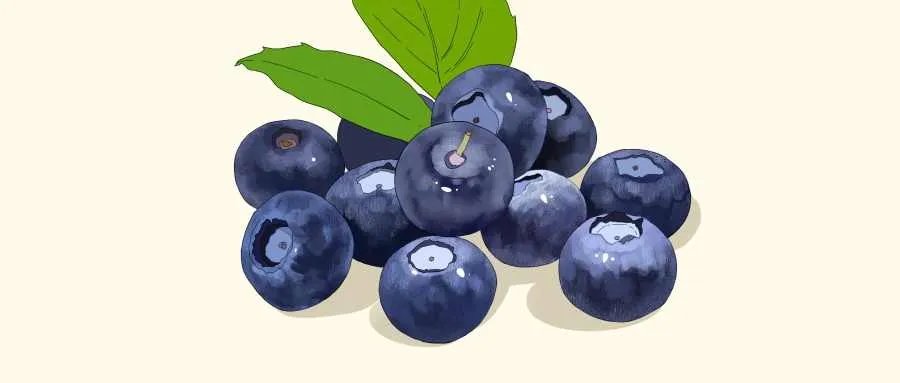 蓝莓叶黄素的作用