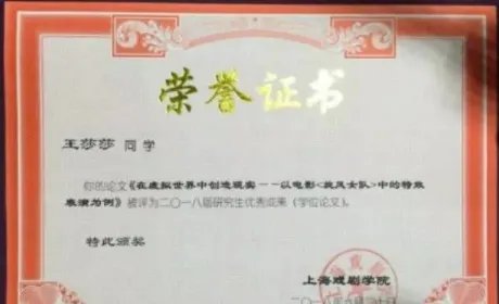 王莎莎硕士毕业就读于哪所学校？