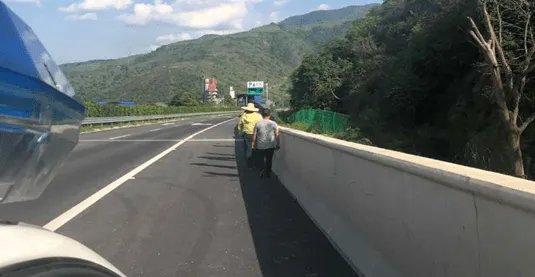 宠物狗晕车女子高速上下车遛狗！女子这么做有什么安全隐患？