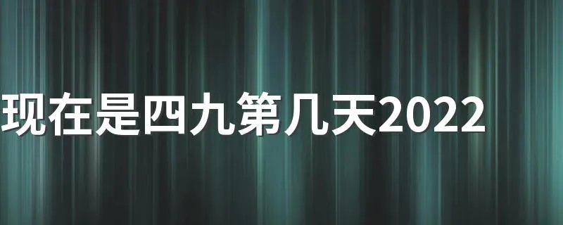 现在是四九第几天2022