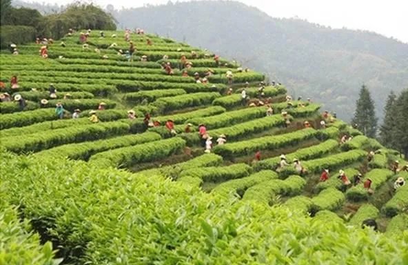 梅州有什么好玩的地方吗?