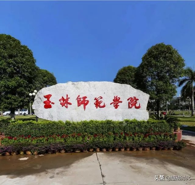 被广西玉林师范学院法学专业录取，就业前景如何？