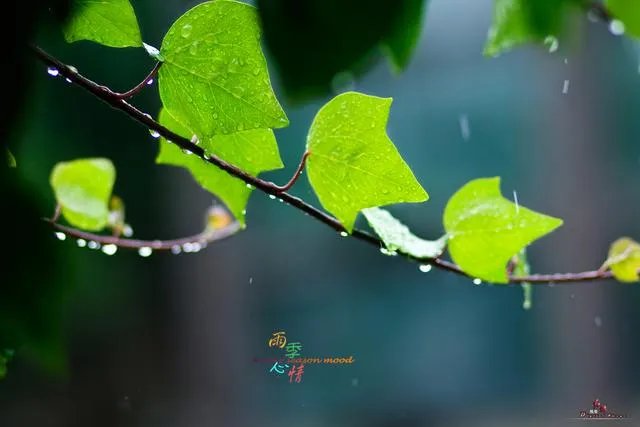 “热热热，凉风去哪了”，你能对出下联吗？