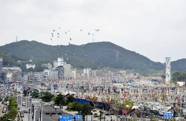 如何看地啊超强台风利奇马登陆浙江，有什么好的办法来应对台风的危害呢？