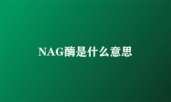 NAG酶是什么意思