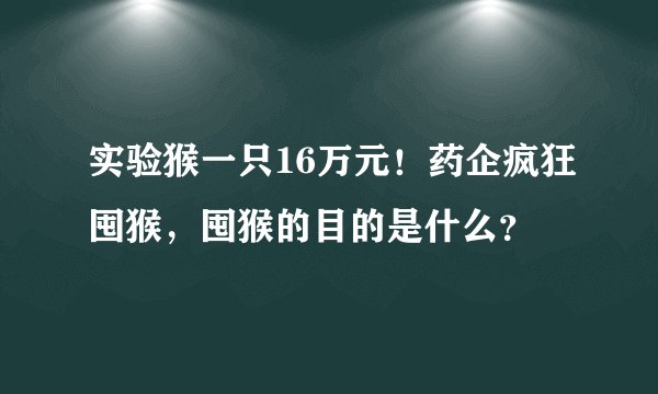 实验猴一只16万元！药企疯狂囤猴，囤猴的目的是什么？