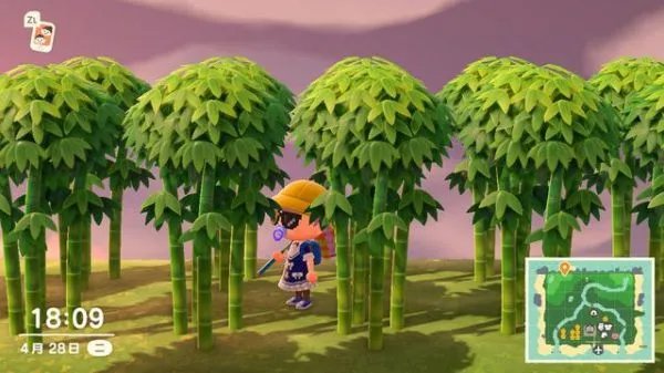 《动物森友会》竹子种植注意事项与竹制家具材料一览