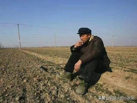 王福重说农民没有贡献,出大力流大汗是种懒惰和愚蠢,你怎么看?