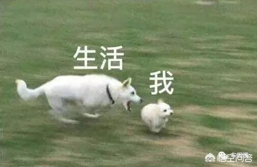 东风风行T5怎么样？