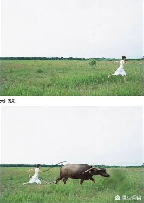 有哪些搞笑的PS图片?