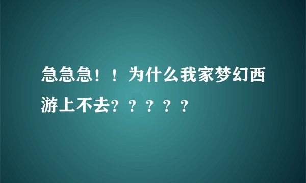 急急急！！为什么我家梦幻西游上不去？？？？？