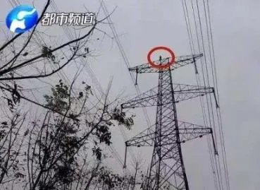 男孩爬上高压线塔：只因跟家人赌气不想活了