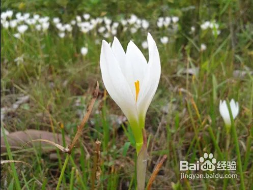 三星s7562怎么样