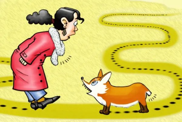 什么路最窄?(脑筋急转弯)