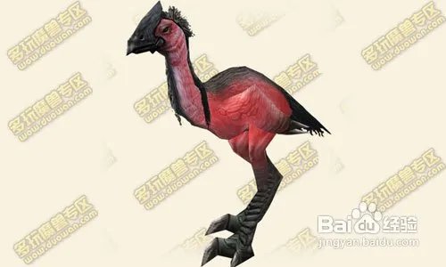 魔兽世界情人节攻略