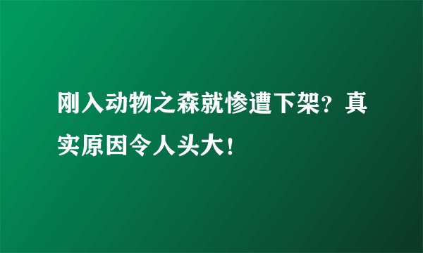 刚入动物之森就惨遭下架？真实原因令人头大！