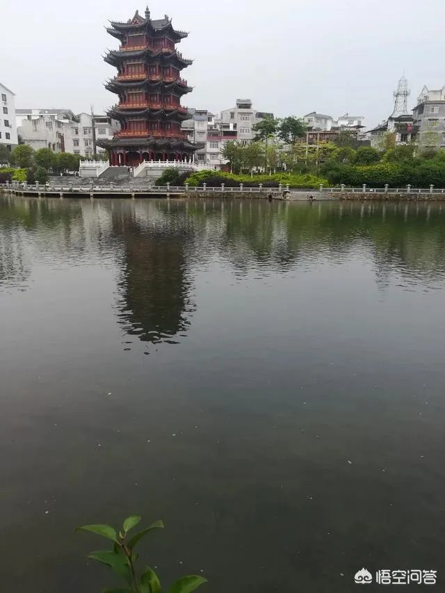 大家晚上失眠睡不着时，都在想着干啥好呢？