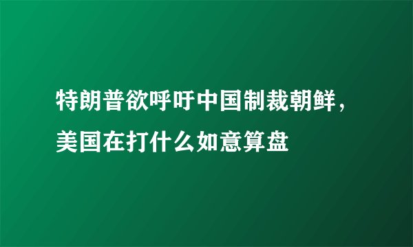 特朗普欲呼吁中国制裁朝鲜，美国在打什么如意算盘