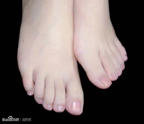 什么叫埃及脚，什么叫希腊脚？