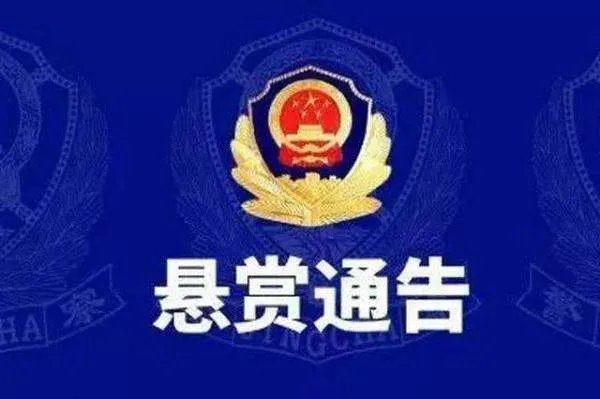 湖北聂四龙,到底犯了什么重大刑事案件?