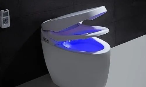 智能马桶好用吗 智能坐便器优缺点解析