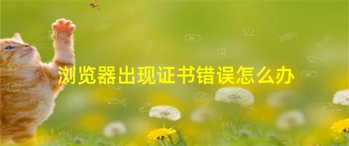 浏览器出现证书错误怎么办