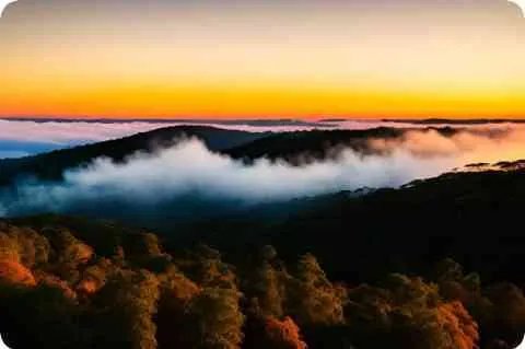 搞比例什么意思?