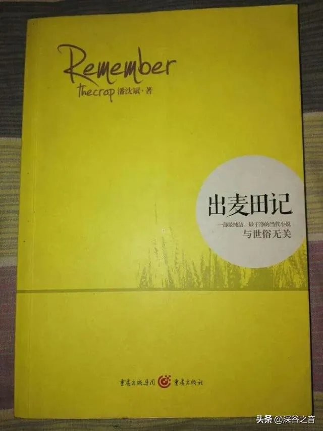 体面吉他简单谱凡人歌