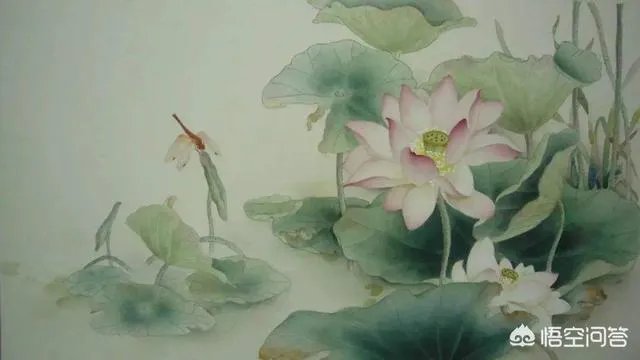 古诗《小池》里晴柔是什么意思？