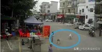 如果你是牵狗女孩，你会逃跑嘛？