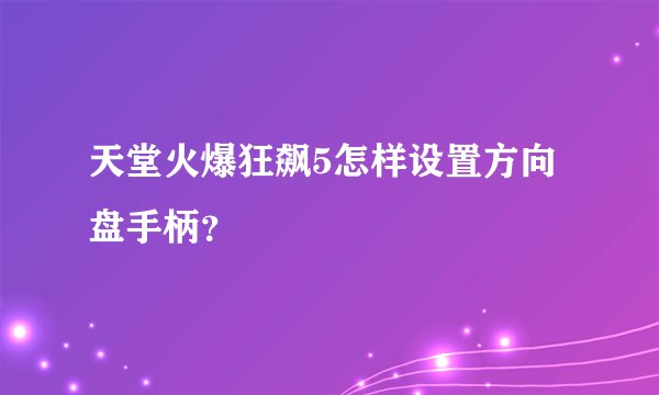 天堂火爆狂飙5怎样设置方向盘手柄？