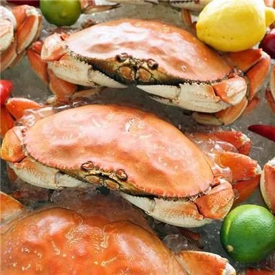 桥本氏甲状腺炎饮食