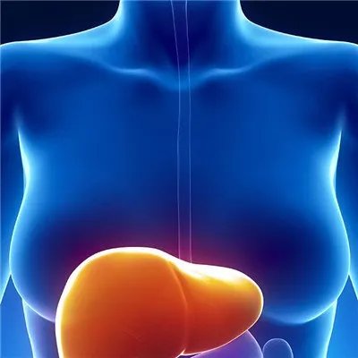 肝脏代谢不好的症状