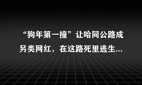 “狗年第一撞”让哈同公路成另类网红，在这路死里逃生是啥体验？