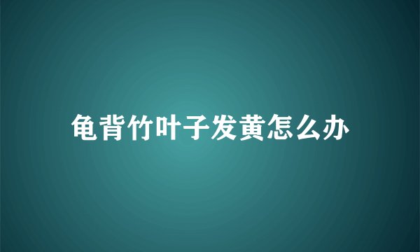 龟背竹叶子发黄怎么办
