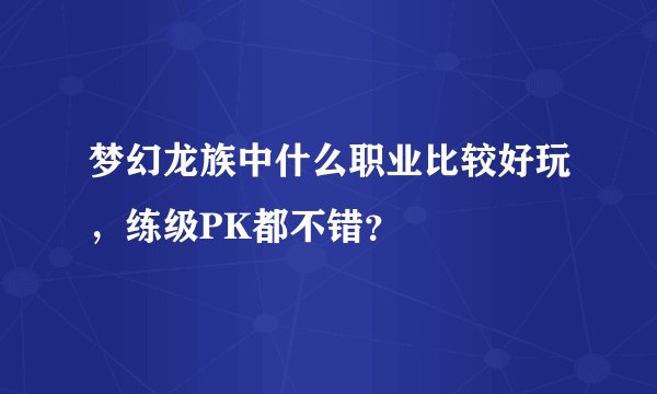 梦幻龙族中什么职业比较好玩，练级PK都不错？