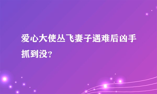 爱心大使丛飞妻子遇难后凶手抓到没？