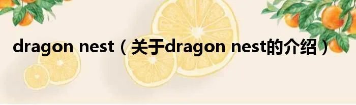 dragon nest（关于dragon nest的介绍）