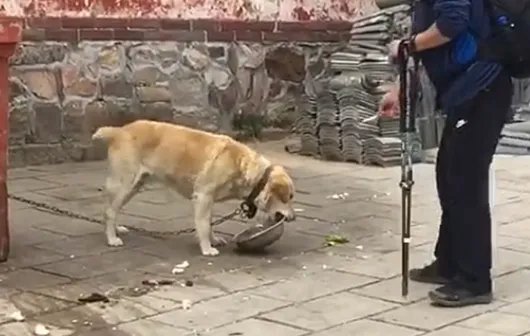 缺德！贵阳男子把中秋物资喂狗被抓走，这名男子为何如此行为？
