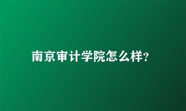 南京审计学院怎么样？