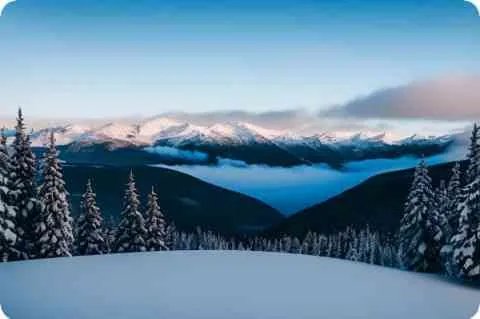 亚枯草菌素简介