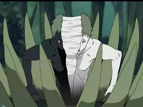 火影忍者中的两种白绝有什么区别