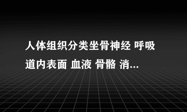 人体组织分类坐骨神经 呼吸道内表面 血液 骨骼 消化道内表面 骨骼肌 皮肤的表皮 皮下的脂肪 心肌上皮组织是:结缔组织是:肌肉组织是:神经组织是: