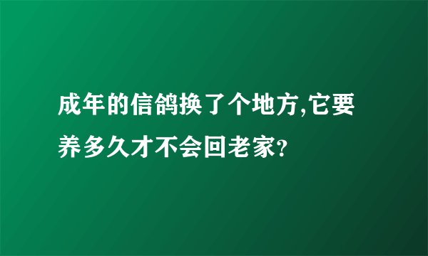 成年的信鸽换了个地方,它要养多久才不会回老家？