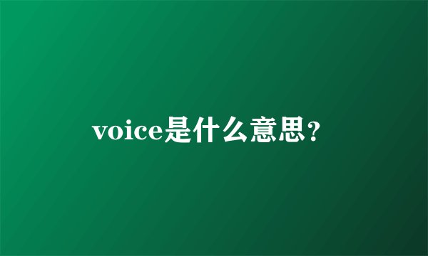 voice是什么意思？
