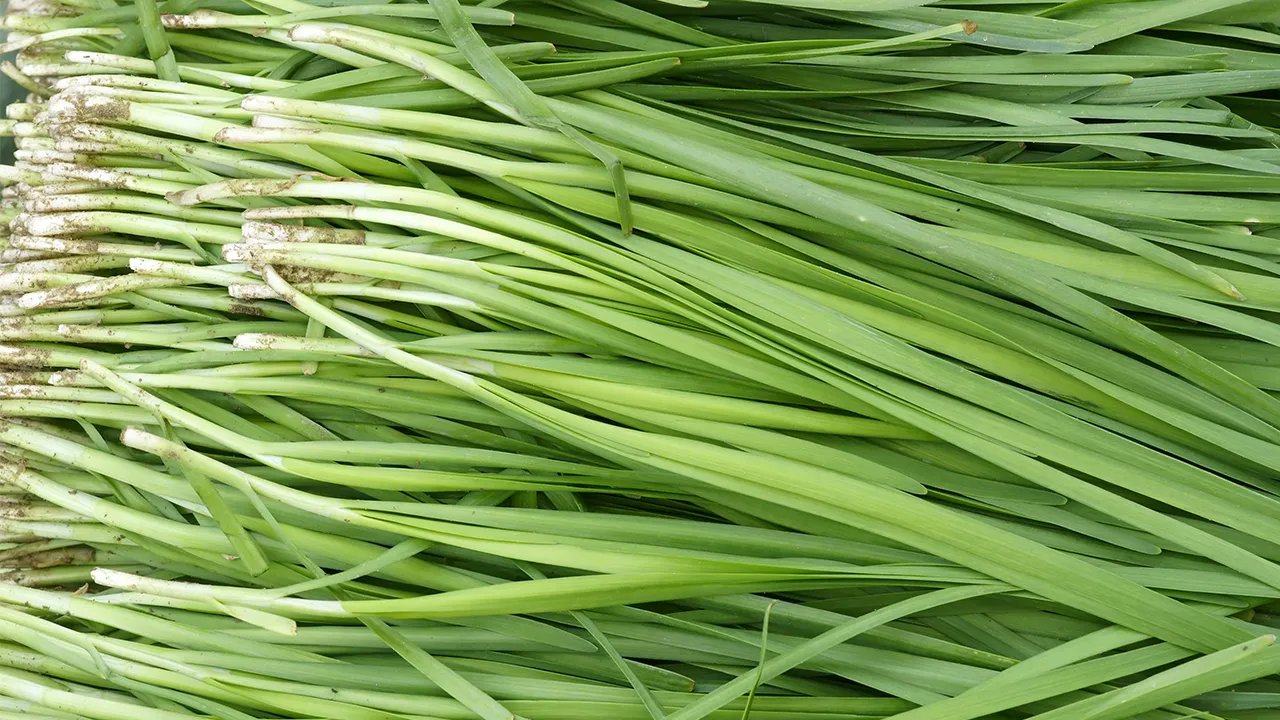 不吃药的减肥方法有哪些?这5款食谱吃出健康好身材