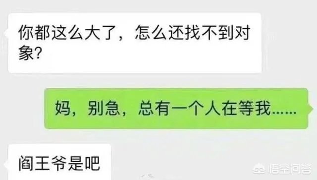 你看到过哪些神评论？
