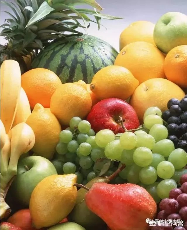 今年水果价格高,有的地方梨价格涨到十多元一斤,你那边水果价格高吗?